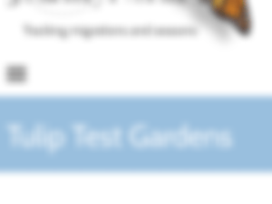 Screen Shot 2023-02-24 at 11.38.24 AM